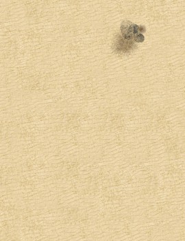 Sand Desert - Wargames Gaming Mat