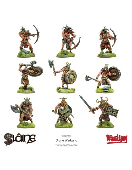 Sláine: Drune Warband