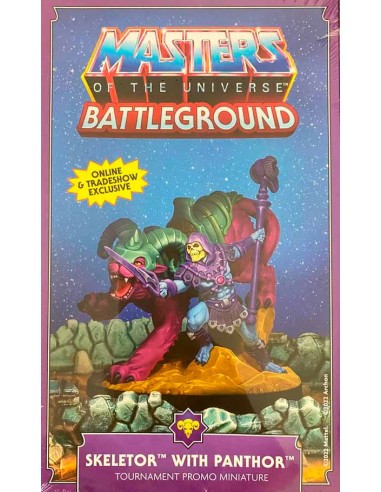 Masters of the Universe: Battleground Skeletor with Panthor