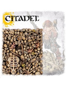 Citadel Skulls (SPANISH)