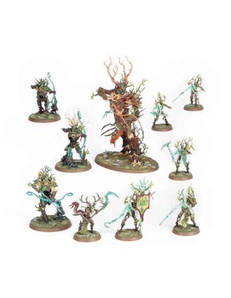 Warhammer Age of Sigmar - Sylvaneth: Vanguard