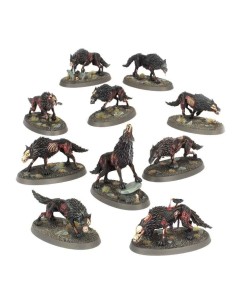 Warhammer Age of Sigmar - Necroseñores Pudrealmas: Lobos Terribles (Dire Wolves) 2