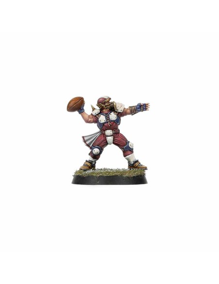 Blood Bowl - Equipo Old World Alliance: The Middenheim Maulers