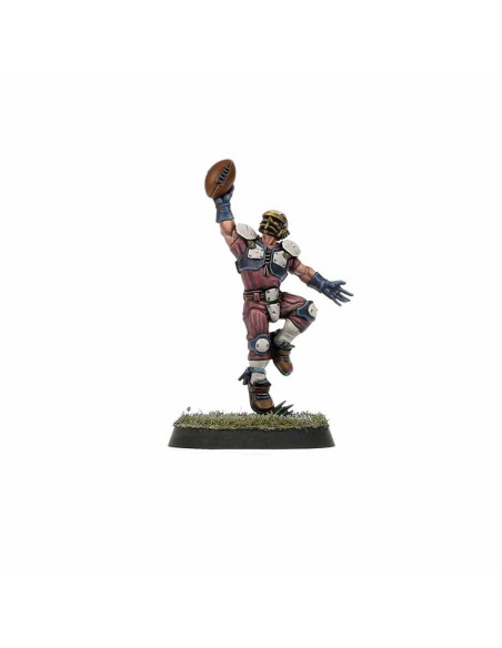 Blood Bowl - Equipo Old World Alliance: The Middenheim Maulers