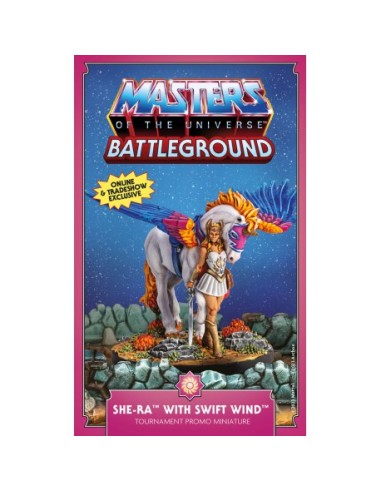 Masters of the Universe: Battleground She-Ra with Swift Wind