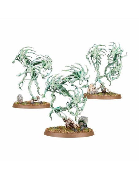 Warhammer Age of Sigmar - Nighthaunt : Spirit Hosts