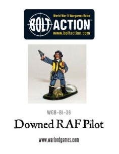 Bolt Action - Downed RAF Pilot