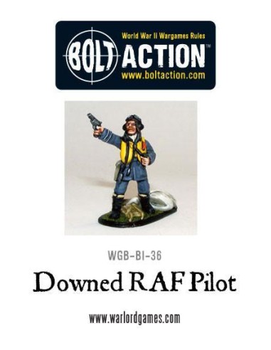 Bolt Action - Downed RAF Pilot