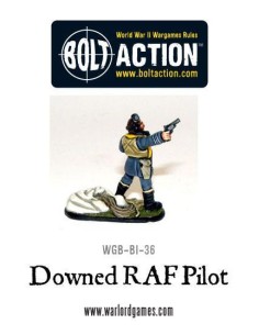 Bolt Action - Downed RAF Pilot 2