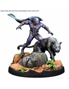 Marvel Crisis Protocol - Black Panther & Namor 2