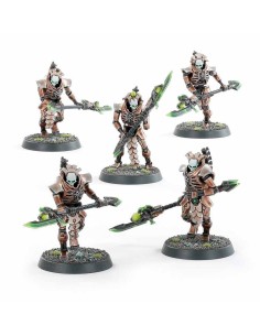 Warhammer 40,000 - Necrones: Pretorianos de la Triarca/Necroguardia (Triarch Praetorians/Lychguard) 2