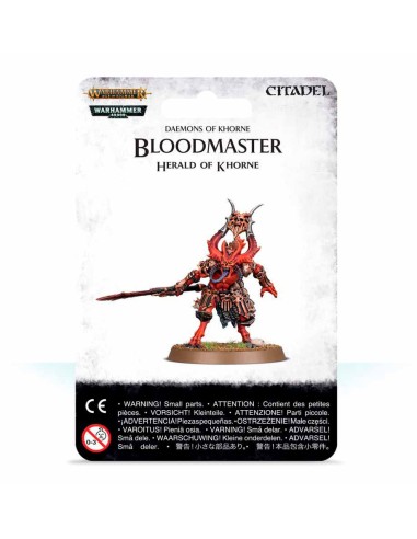 Warhammer Age of Sigmar - Filos de Khorne: Bloodmaster, Heraldo de Khorne