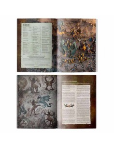 Warhammer Age of Sigmar - Chaos Battletome: Slaves to Darkness 2