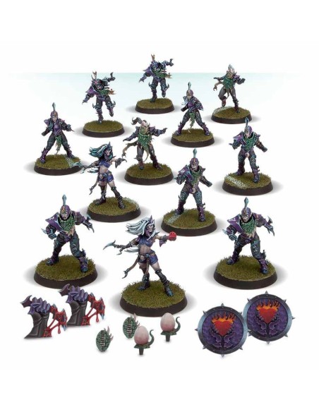 Blood Bowl - Dark Elf Team: Naggaroth Nightmares