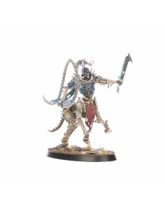 Warhammer Age of Sigmar - Warcry: Teratic Cohort 2