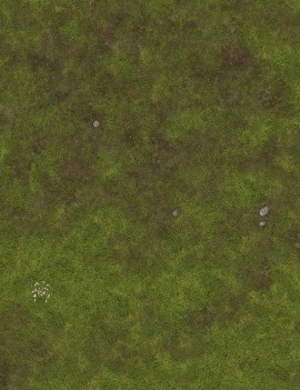 Grassland Plain - Wargames Gaming Mat