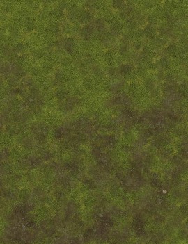 Grassland Plain - Wargames Gaming Mat