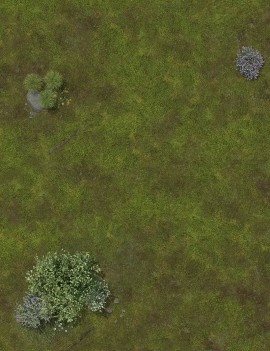 Grassland - Tapete para Wargames 2