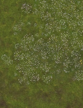 Grassland - Wargames Gaming Mat