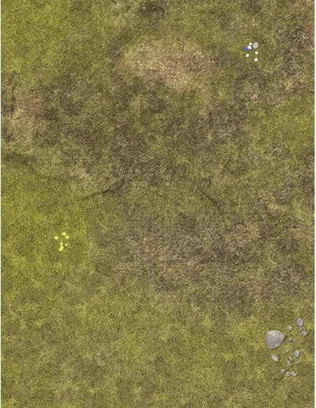 The Riddermark - Wargames Gaming Mat