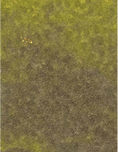 The Lake - Wargames Gaming Mat