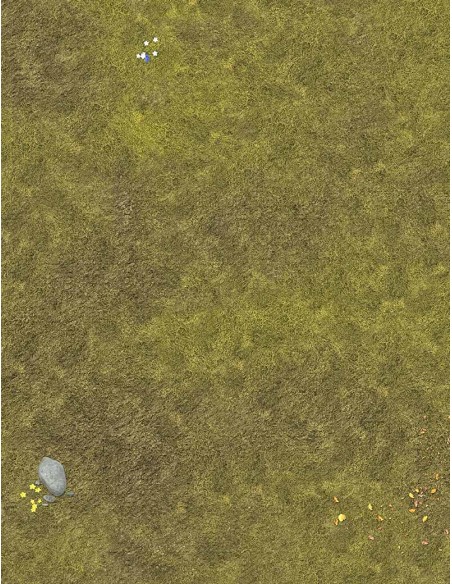 The Lake - Wargames Gaming Mat