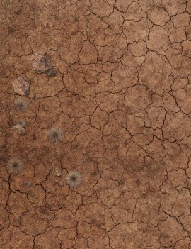 Rust Desert - Wargames Gaming Mat 2